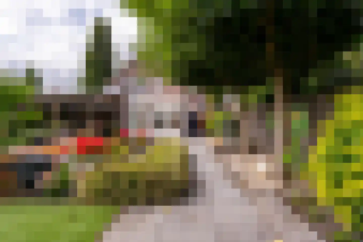 Jan Matstraat 5 Putte thumbnail 33