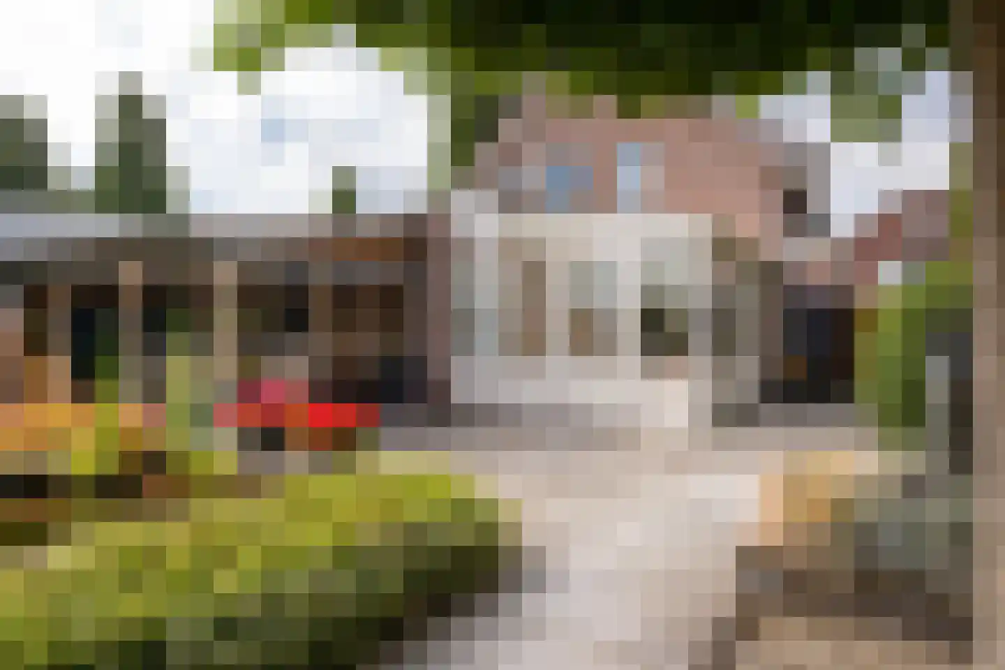 Jan Matstraat 5 Putte thumbnail 34