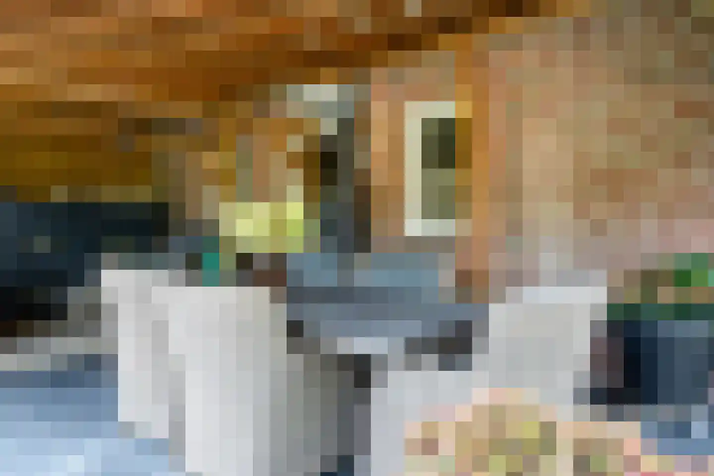 Jan Matstraat 5 Putte thumbnail 35