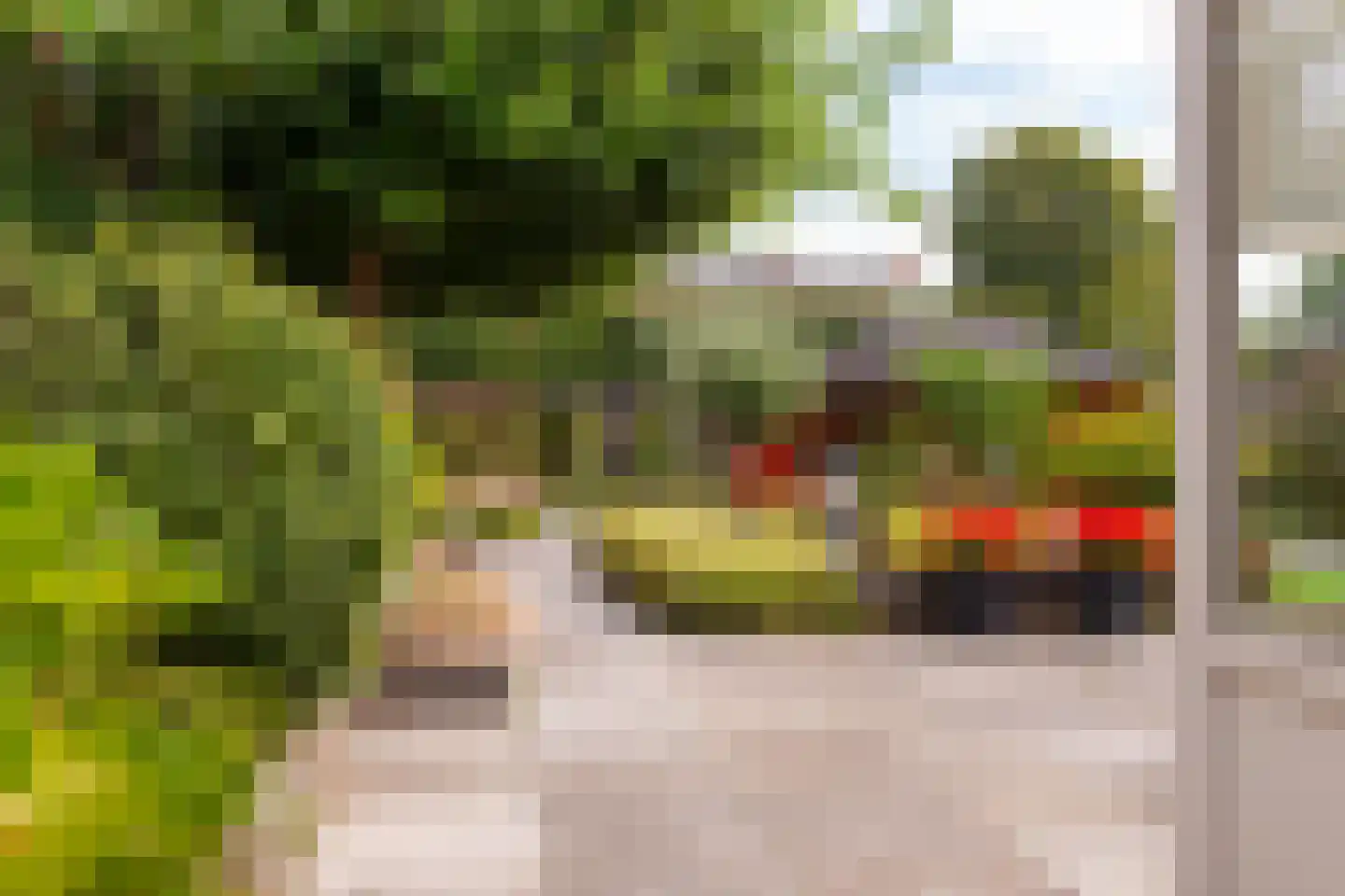 Jan Matstraat 5 Putte thumbnail 37
