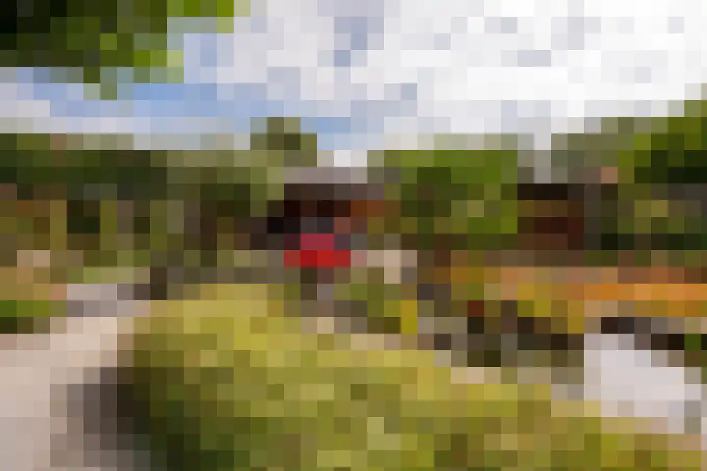 Jan Matstraat 5 Putte thumbnail 39