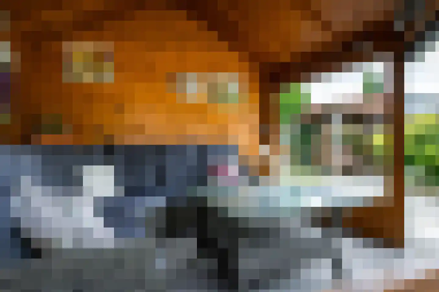 Jan Matstraat 5 Putte thumbnail 41