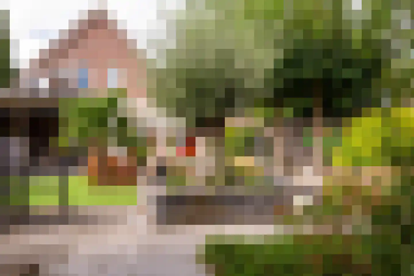 Jan Matstraat 5 Putte thumbnail 42