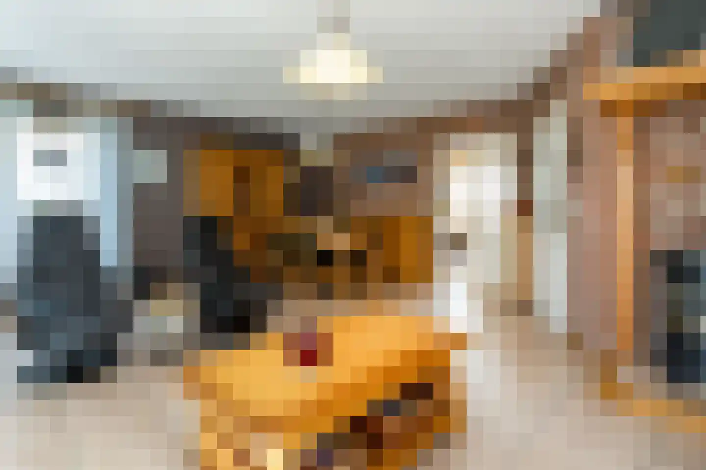 Jan Matstraat 5 Putte thumbnail 6