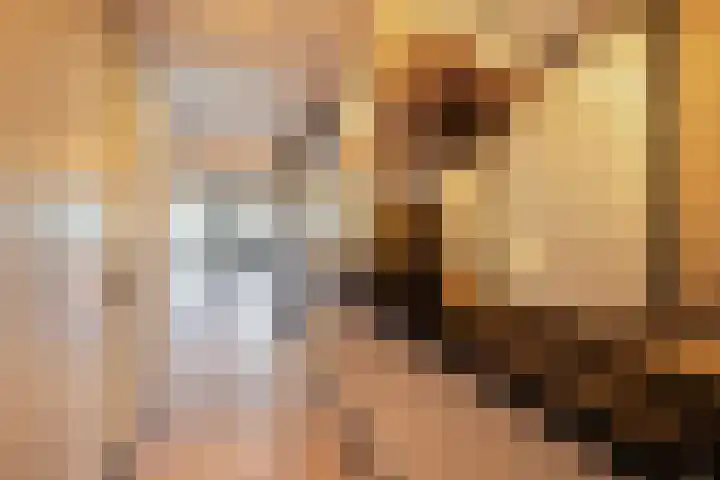 Jan Matthijssenlaan 21 Brielle thumbnail 13