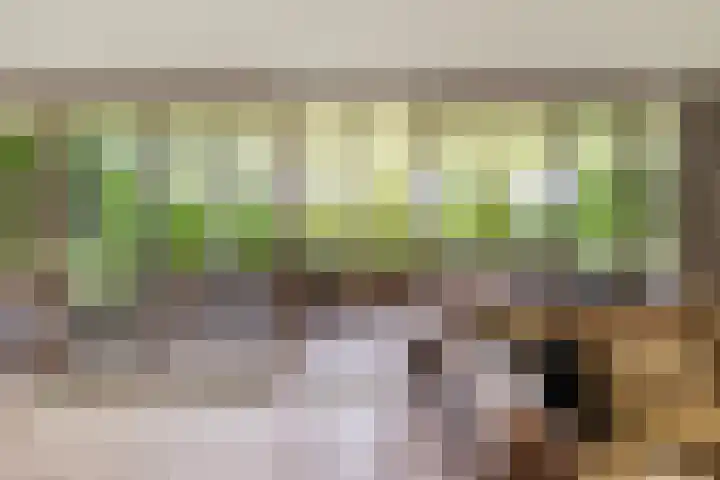 Jan Matthijssenlaan 21 Brielle thumbnail 15