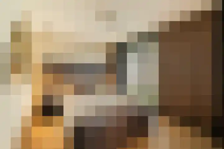 Jan Matthijssenlaan 21 Brielle thumbnail 23