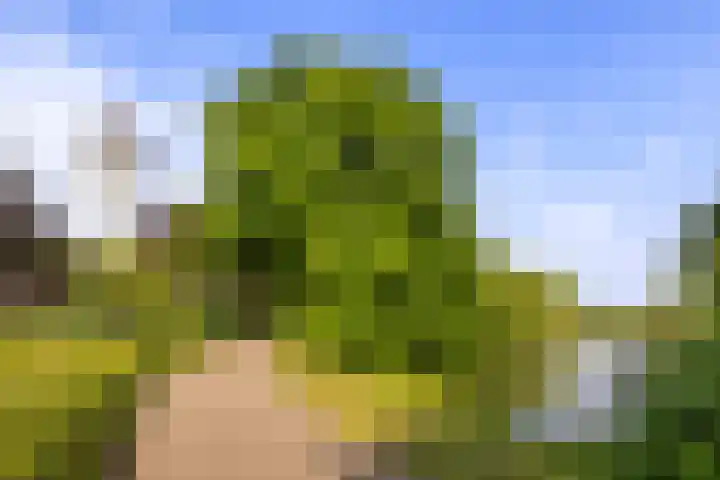 Jan Matthijssenlaan 21 Brielle thumbnail 31