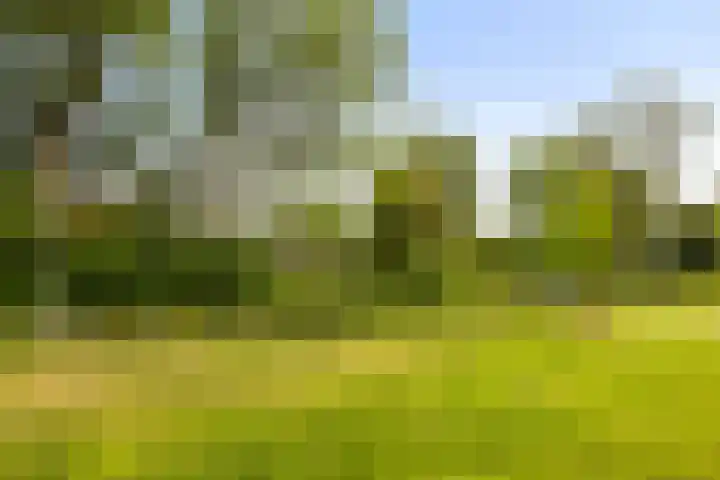 Jan Matthijssenlaan 21 Brielle thumbnail 32