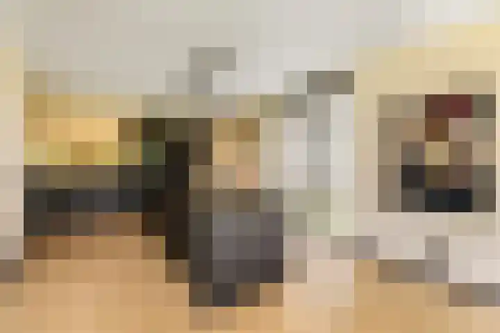 Jan Matthijssenlaan 21 Brielle thumbnail 4
