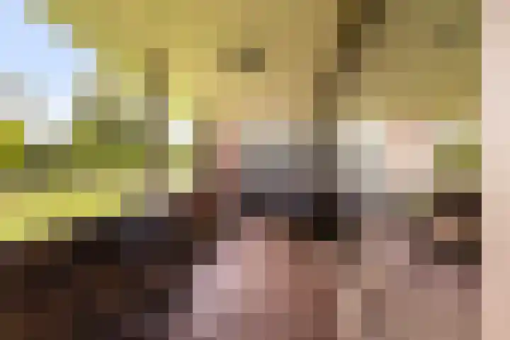 Jan Matthijssenlaan 21 Brielle thumbnail 5