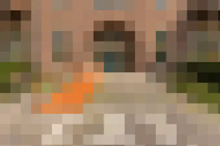 Jan Matthijssenlaan 21 Brielle thumbnail 8