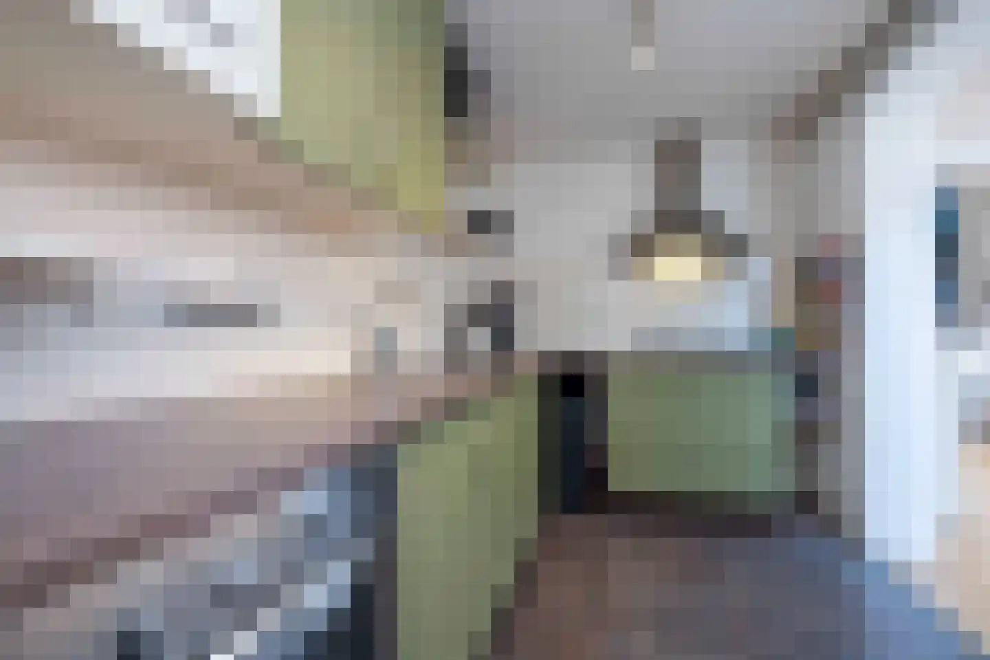 Jan Maurits van Nassaustraat 12 Tilburg thumbnail 24