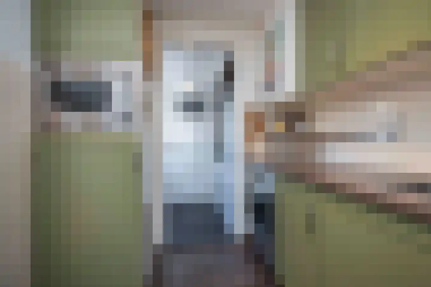 Jan Maurits van Nassaustraat 12 Tilburg thumbnail 27