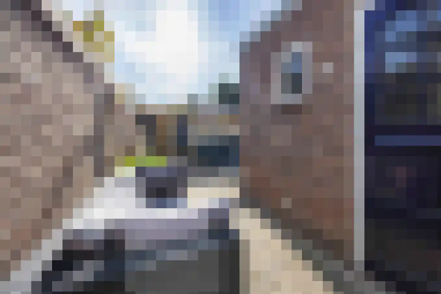 Jan Maurits van Nassaustraat 12 Tilburg thumbnail 51