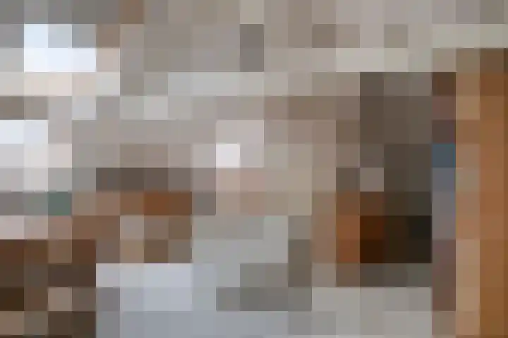 Jan Maurits van Nassaustraat 32 Tilburg thumbnail 39