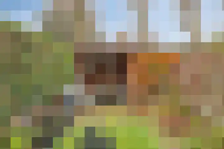 Jan Maurits van Nassaustraat 32 Tilburg thumbnail 41