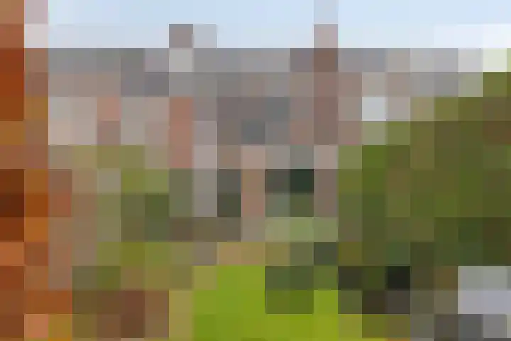 Jan Maurits van Nassaustraat 32 Tilburg thumbnail 43