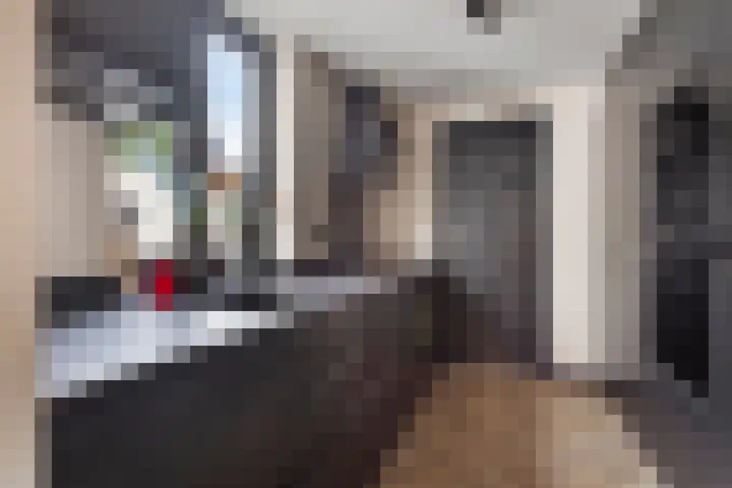 Jan Maurits van Nassaustraat 38 Tilburg thumbnail 12