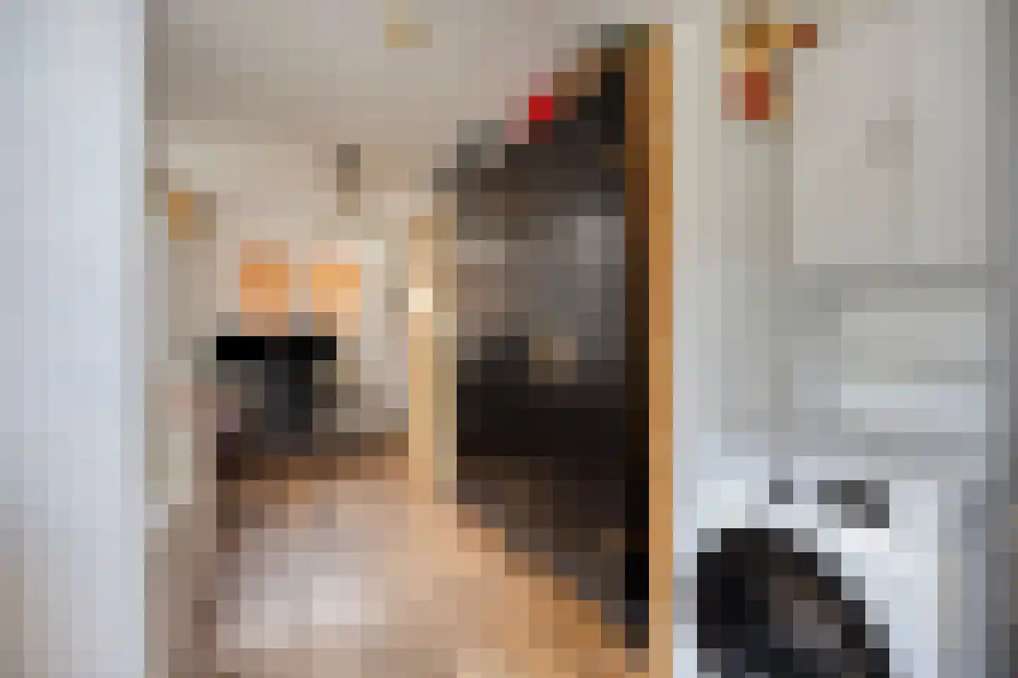 Jan Maurits van Nassaustraat 38 Tilburg thumbnail 14