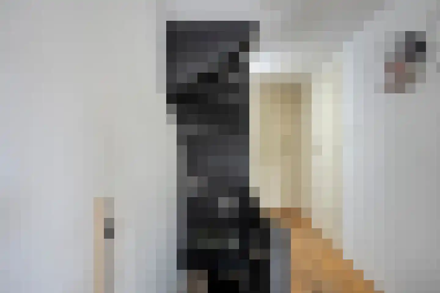 Jan Maurits van Nassaustraat 38 Tilburg thumbnail 16