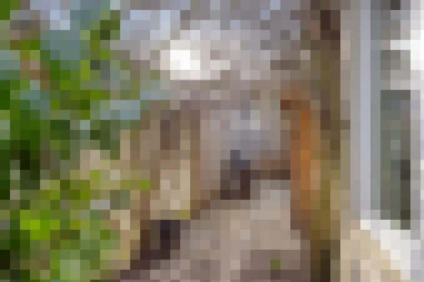 Jan Maurits van Nassaustraat 38 Tilburg thumbnail 27