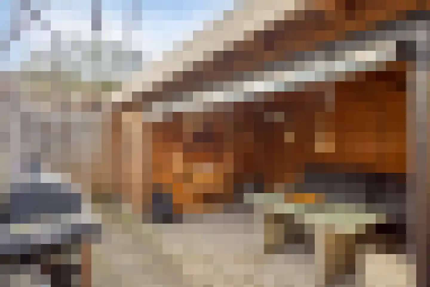 Jan Maurits van Nassaustraat 38 Tilburg thumbnail 28