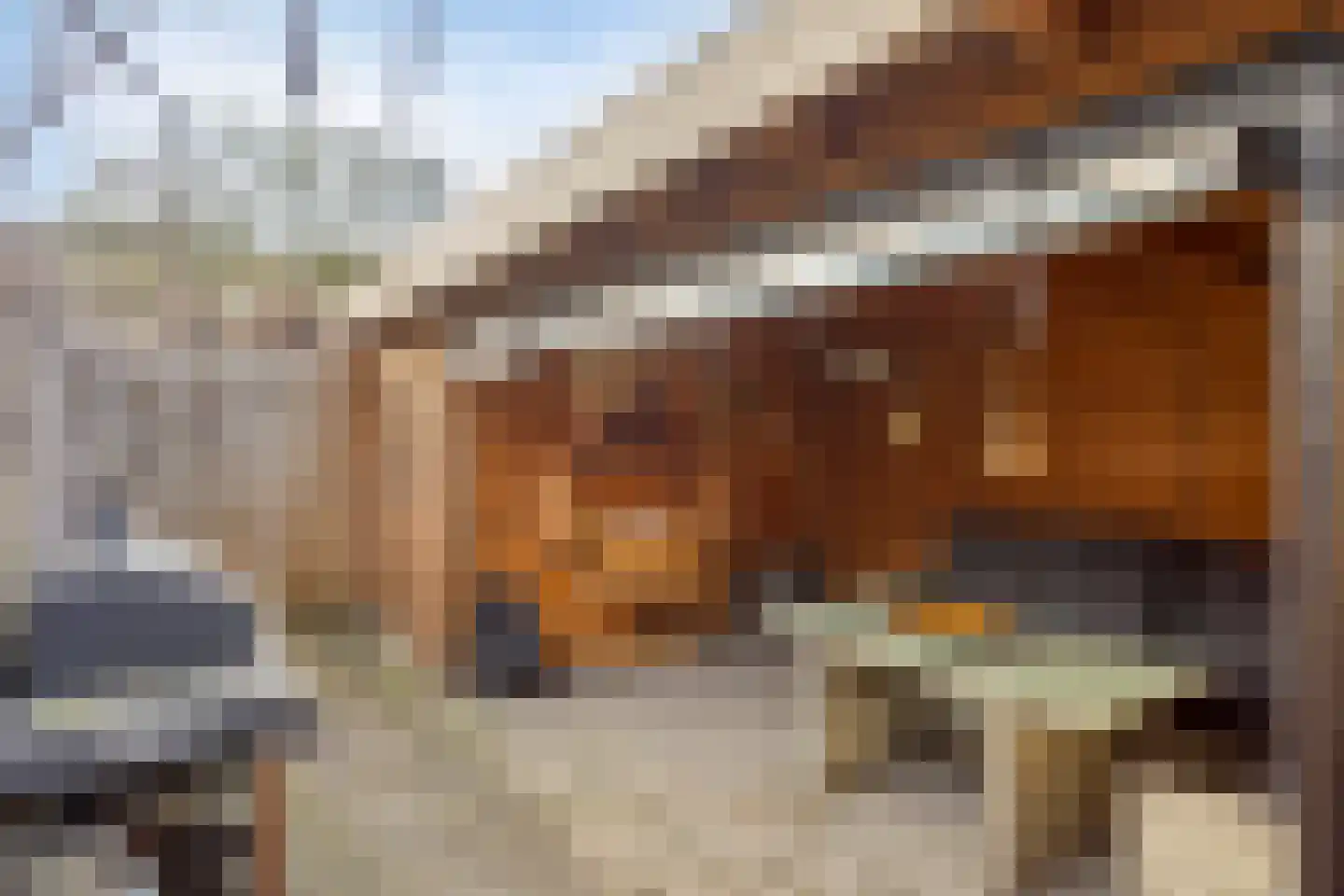 Jan Maurits van Nassaustraat 38 Tilburg thumbnail 29