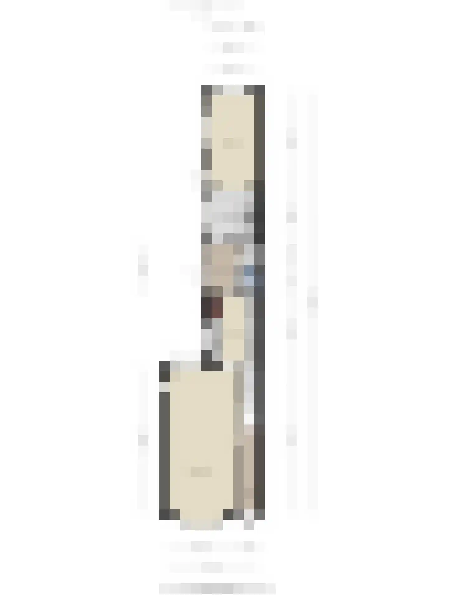 Jan Maurits van Nassaustraat 38 Tilburg thumbnail 32