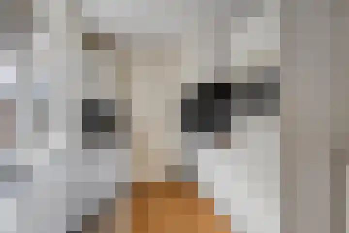 Jan Maurits van Nassaustraat 4 Tilburg thumbnail 17