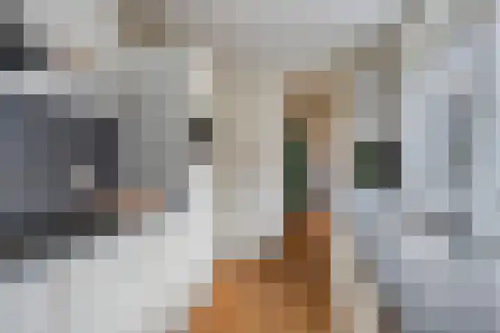 Jan Maurits van Nassaustraat 4 Tilburg thumbnail 19