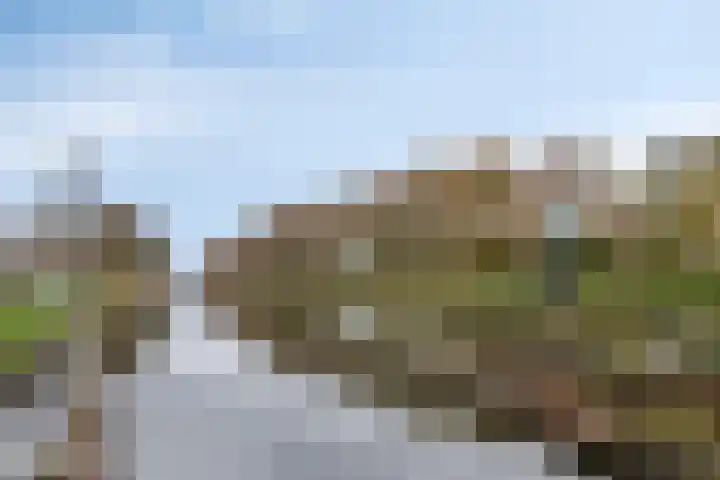 Jan Maurits van Nassaustraat 4 Tilburg thumbnail 37