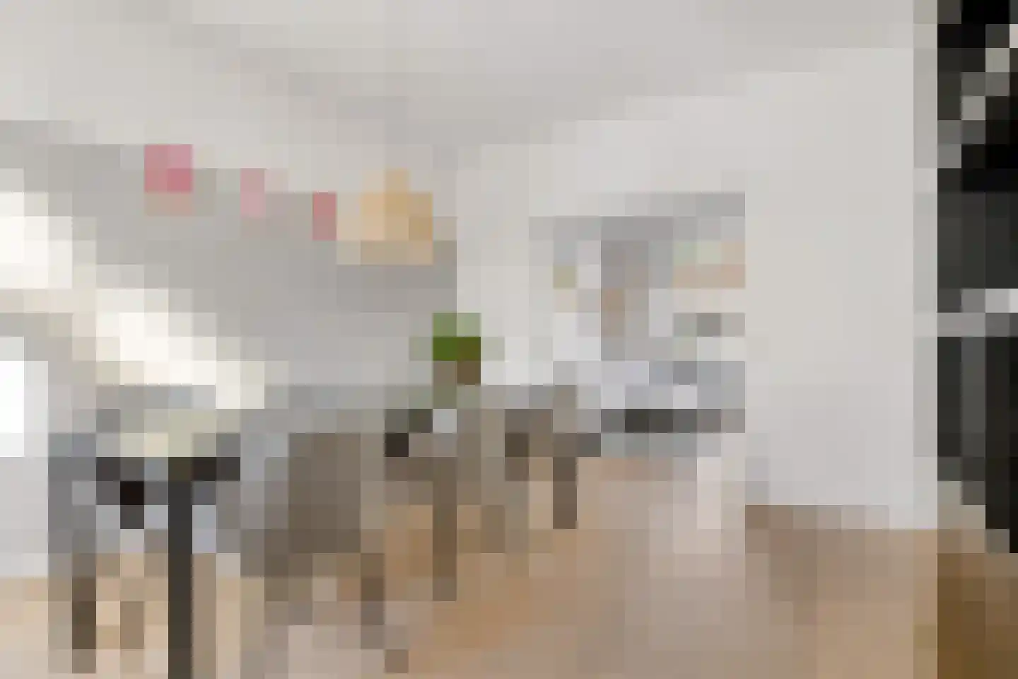 Jan Maurits van Nassaustraat 52 Tilburg thumbnail 10