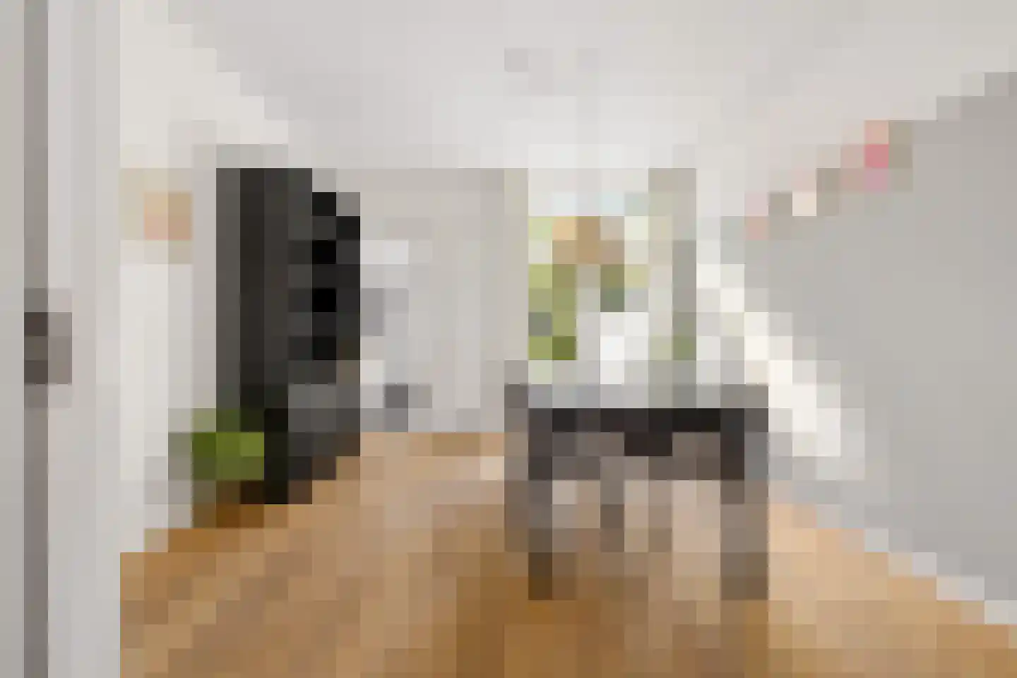 Jan Maurits van Nassaustraat 52 Tilburg thumbnail 12