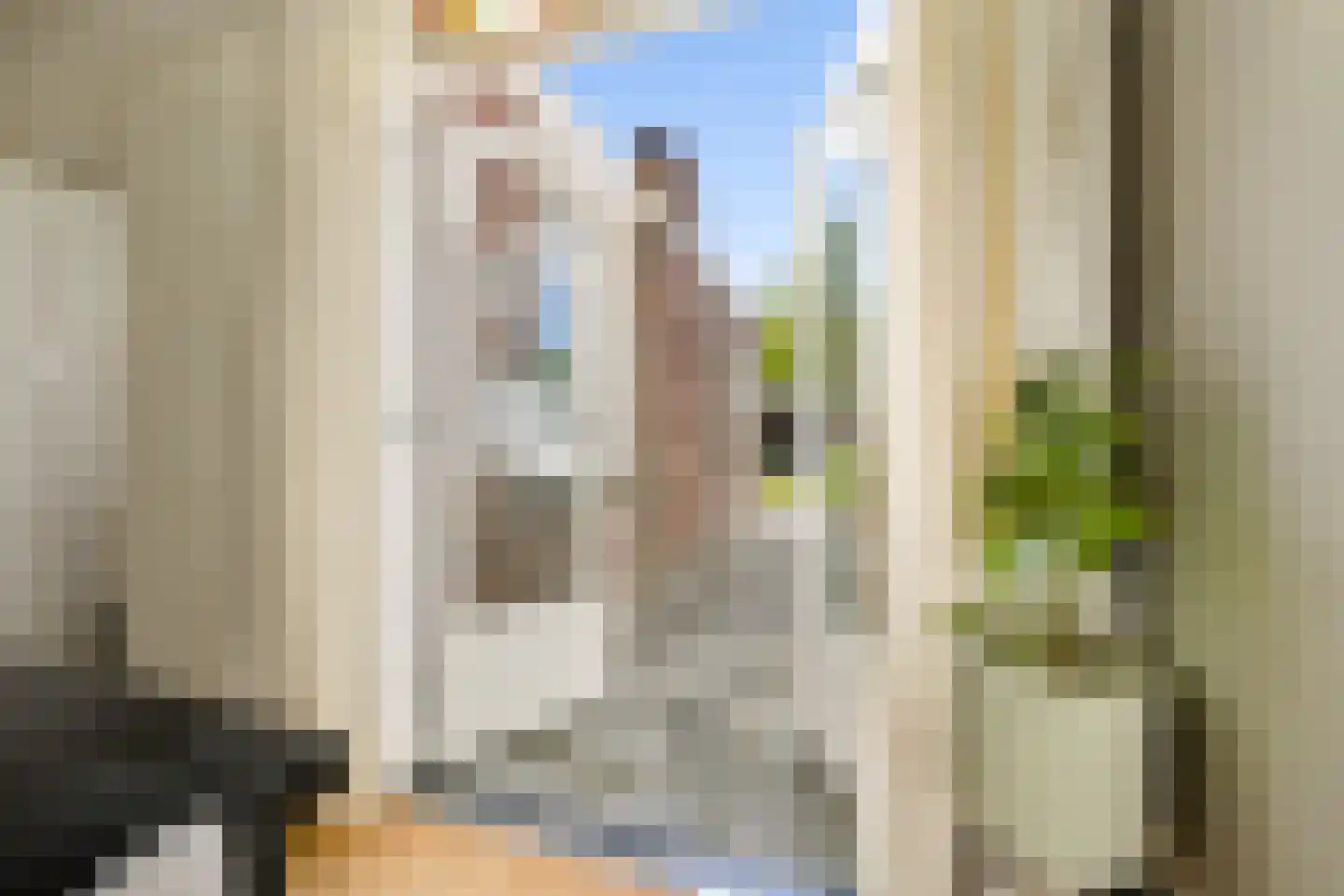 Jan Maurits van Nassaustraat 52 Tilburg thumbnail 13