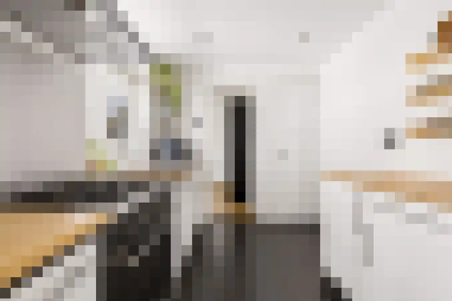 Jan Maurits van Nassaustraat 52 Tilburg thumbnail 15