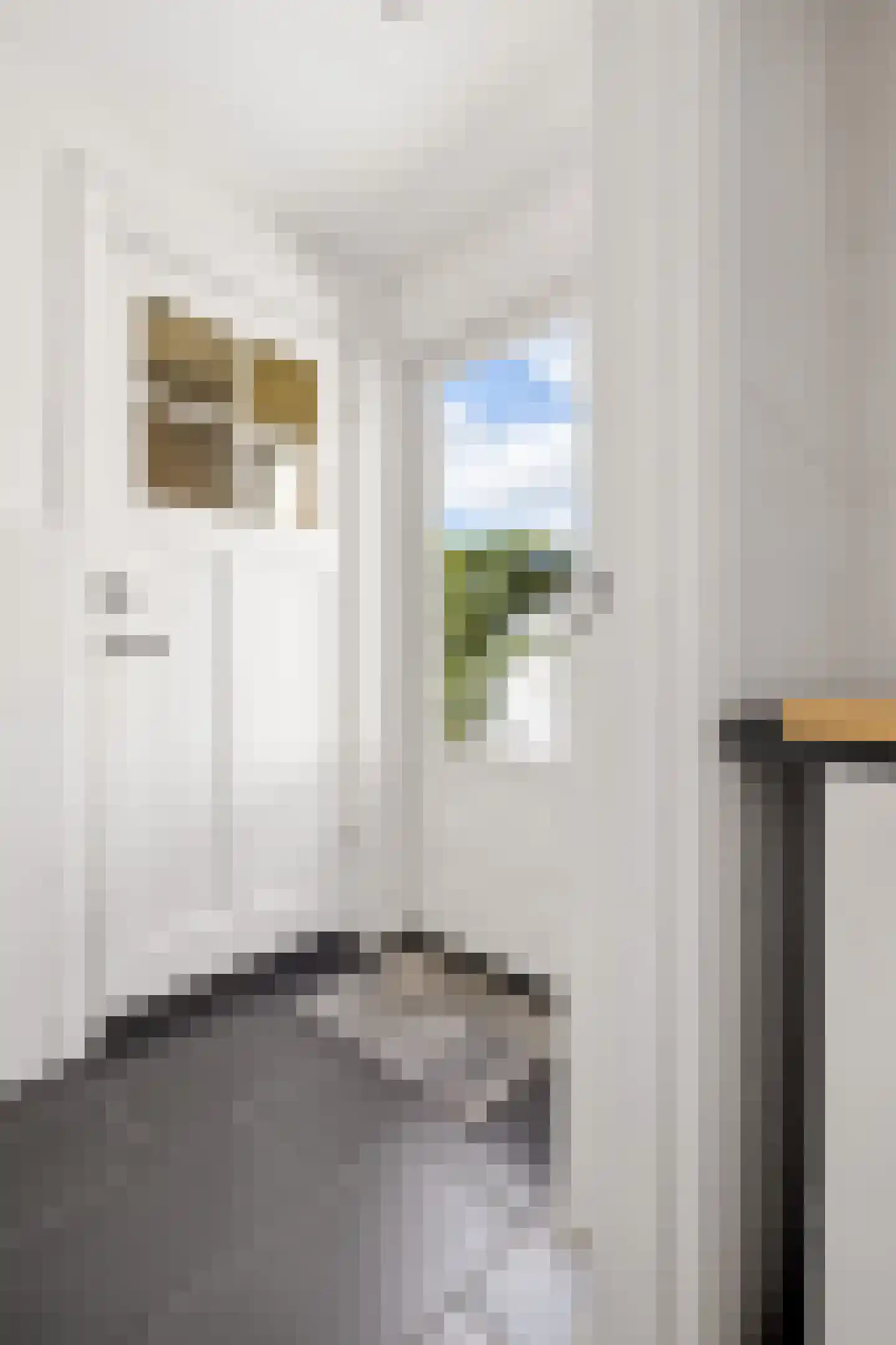 Jan Maurits van Nassaustraat 52 Tilburg thumbnail 17