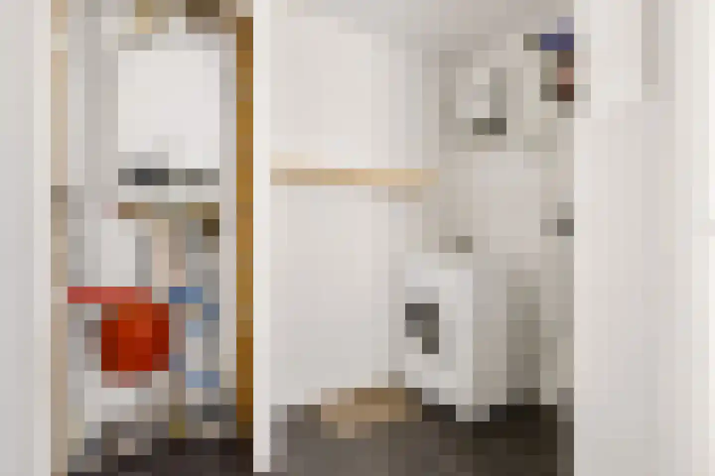 Jan Maurits van Nassaustraat 52 Tilburg thumbnail 19