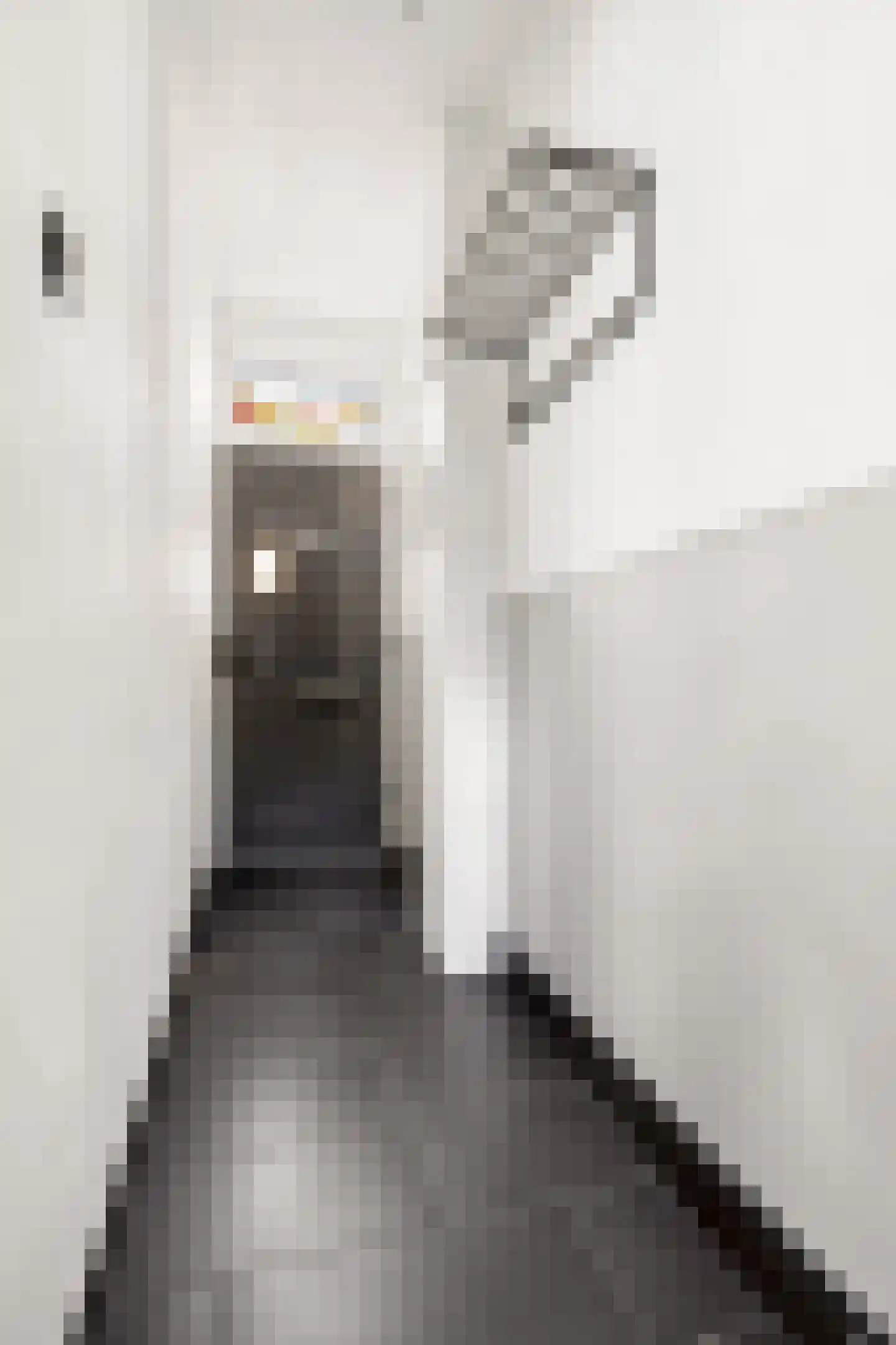 Jan Maurits van Nassaustraat 52 Tilburg thumbnail 20