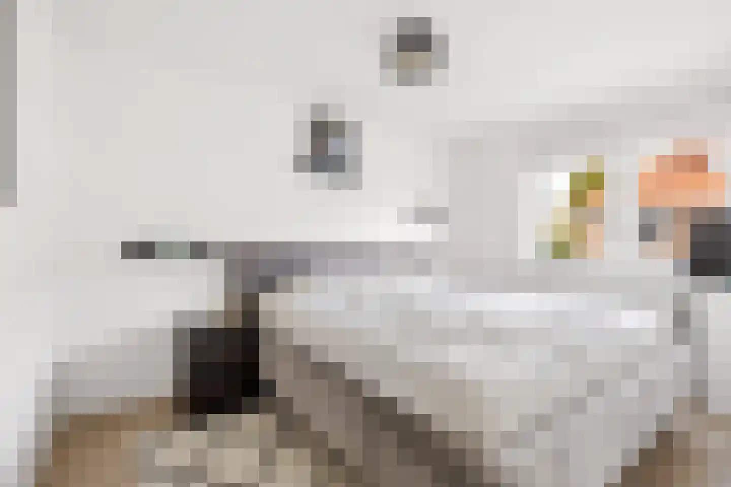 Jan Maurits van Nassaustraat 52 Tilburg thumbnail 23