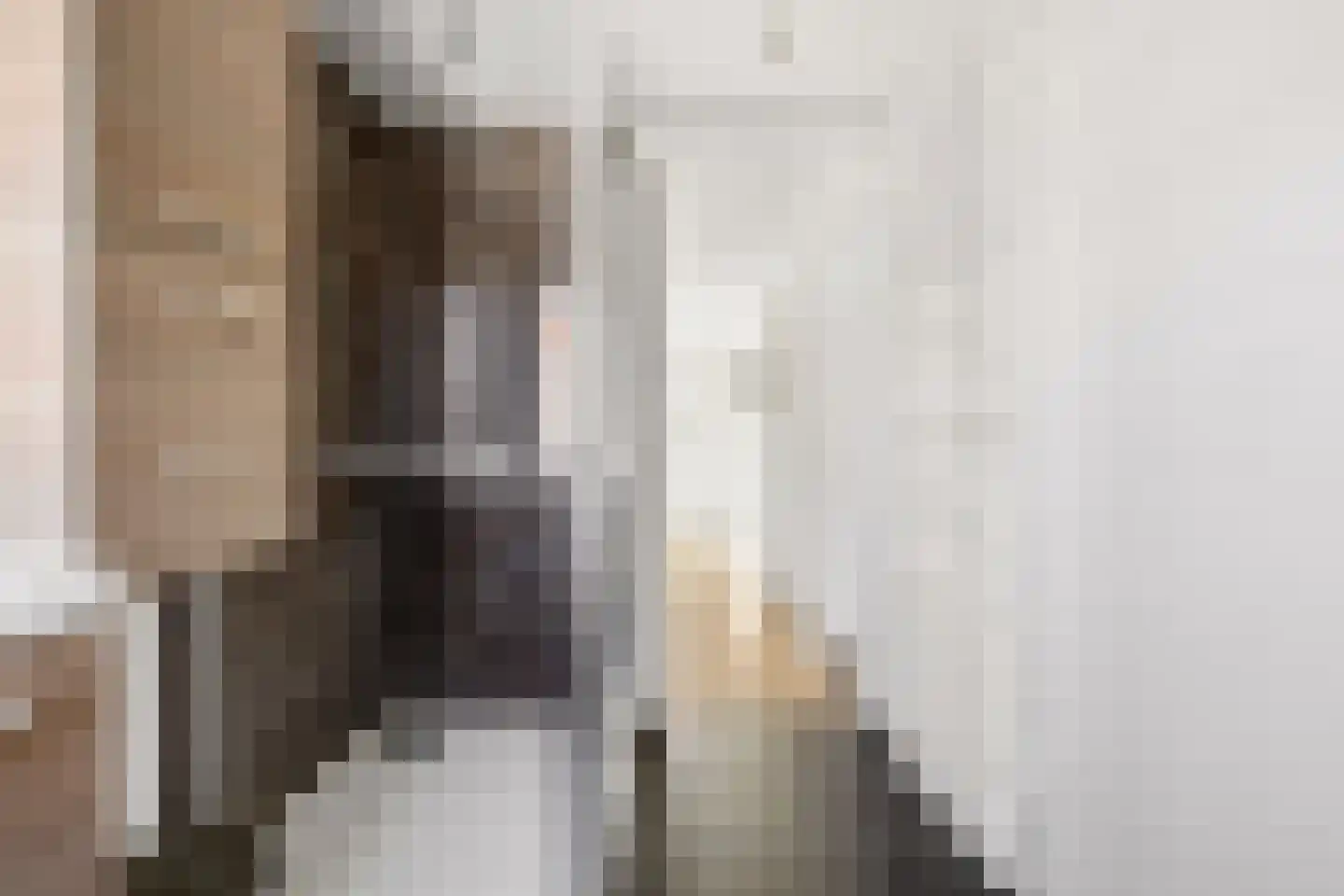 Jan Maurits van Nassaustraat 52 Tilburg thumbnail 28