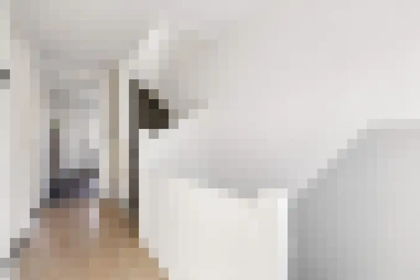Jan Maurits van Nassaustraat 52 Tilburg thumbnail 31