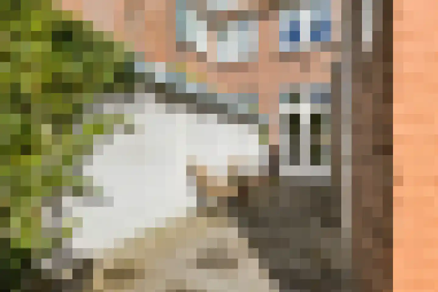 Jan Maurits van Nassaustraat 52 Tilburg thumbnail 40