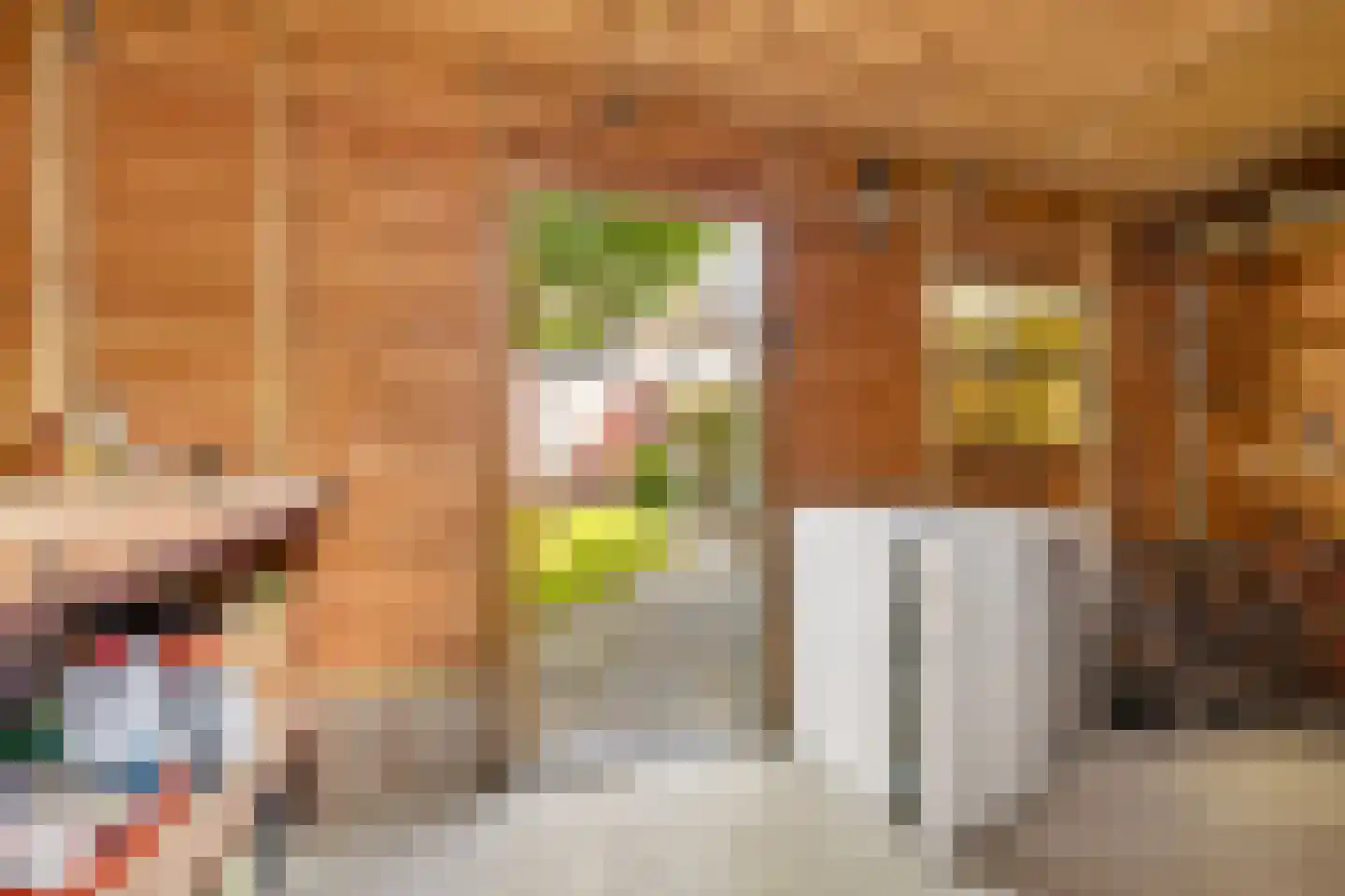 Jan Maurits van Nassaustraat 52 Tilburg thumbnail 41