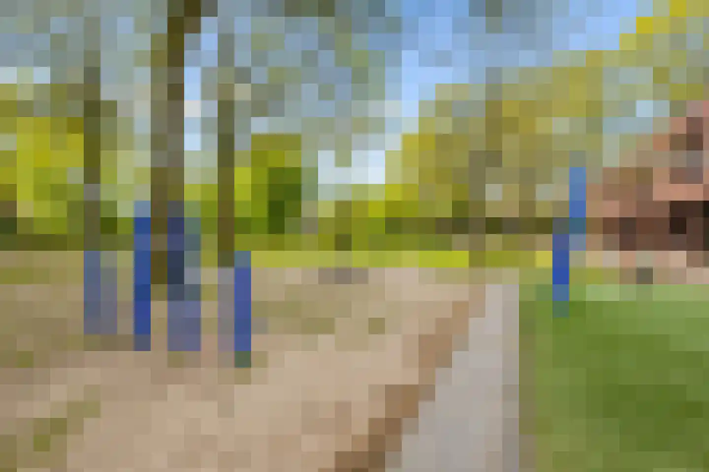 Jan Maurits van Nassaustraat 52 Tilburg thumbnail 44