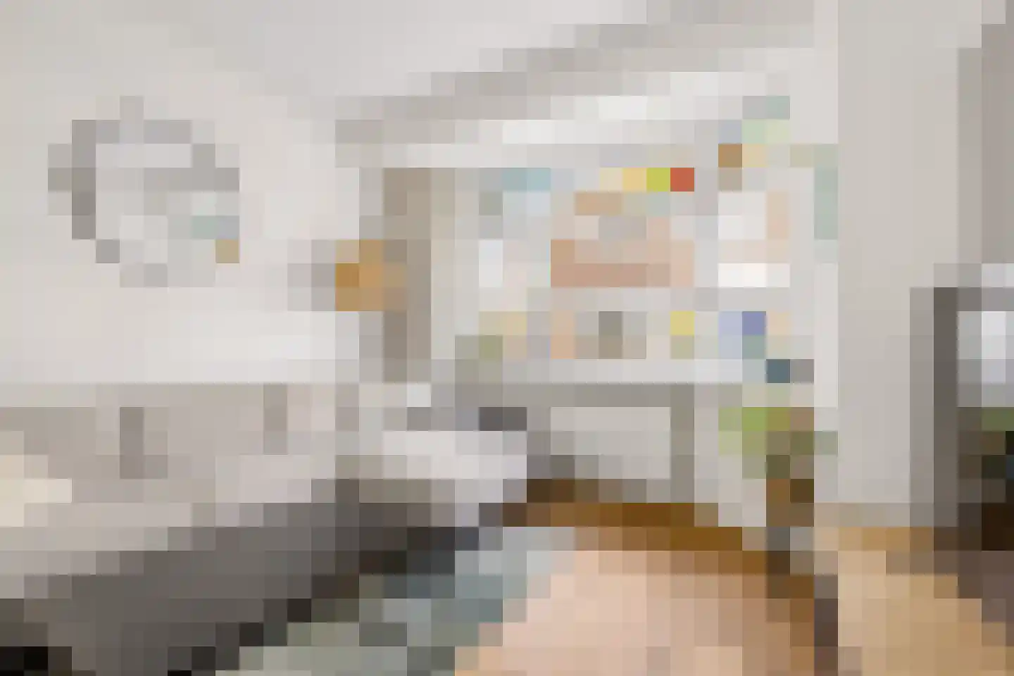 Jan Maurits van Nassaustraat 52 Tilburg thumbnail 8