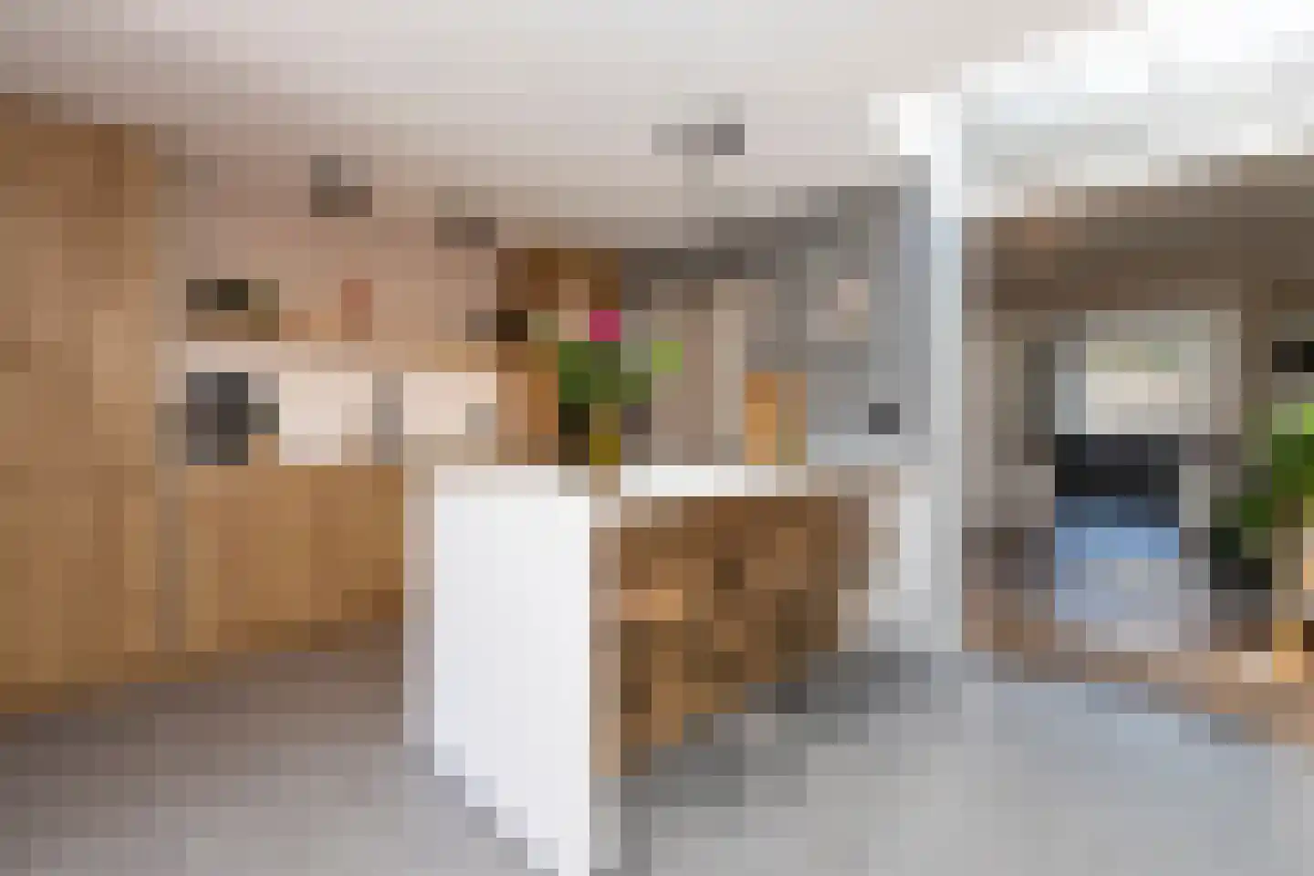 Jan Maurits van Nassaustraat 58 Tilburg thumbnail 16