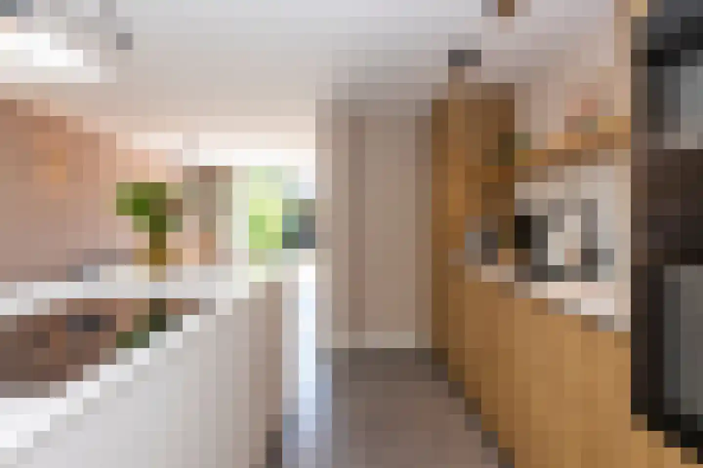 Jan Maurits van Nassaustraat 58 Tilburg thumbnail 17