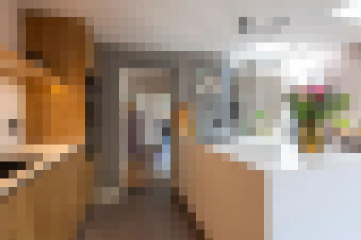 Jan Maurits van Nassaustraat 58 Tilburg thumbnail 18