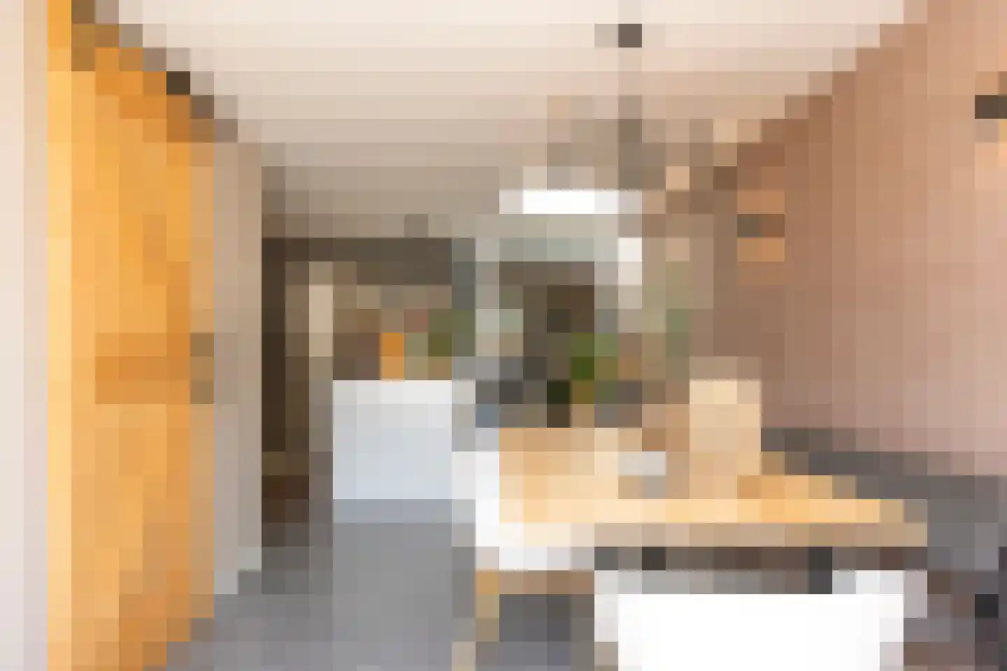 Jan Maurits van Nassaustraat 58 Tilburg thumbnail 20